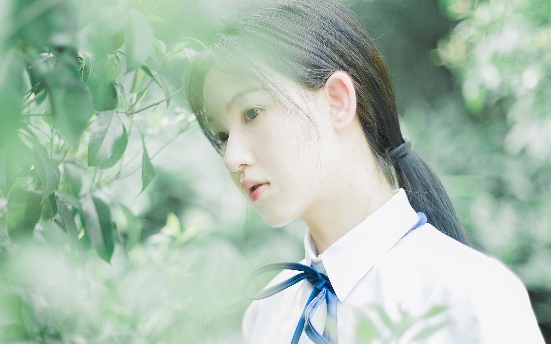 意甲战术变革,教练谈未来策略,意甲新赛季最新主教练名单