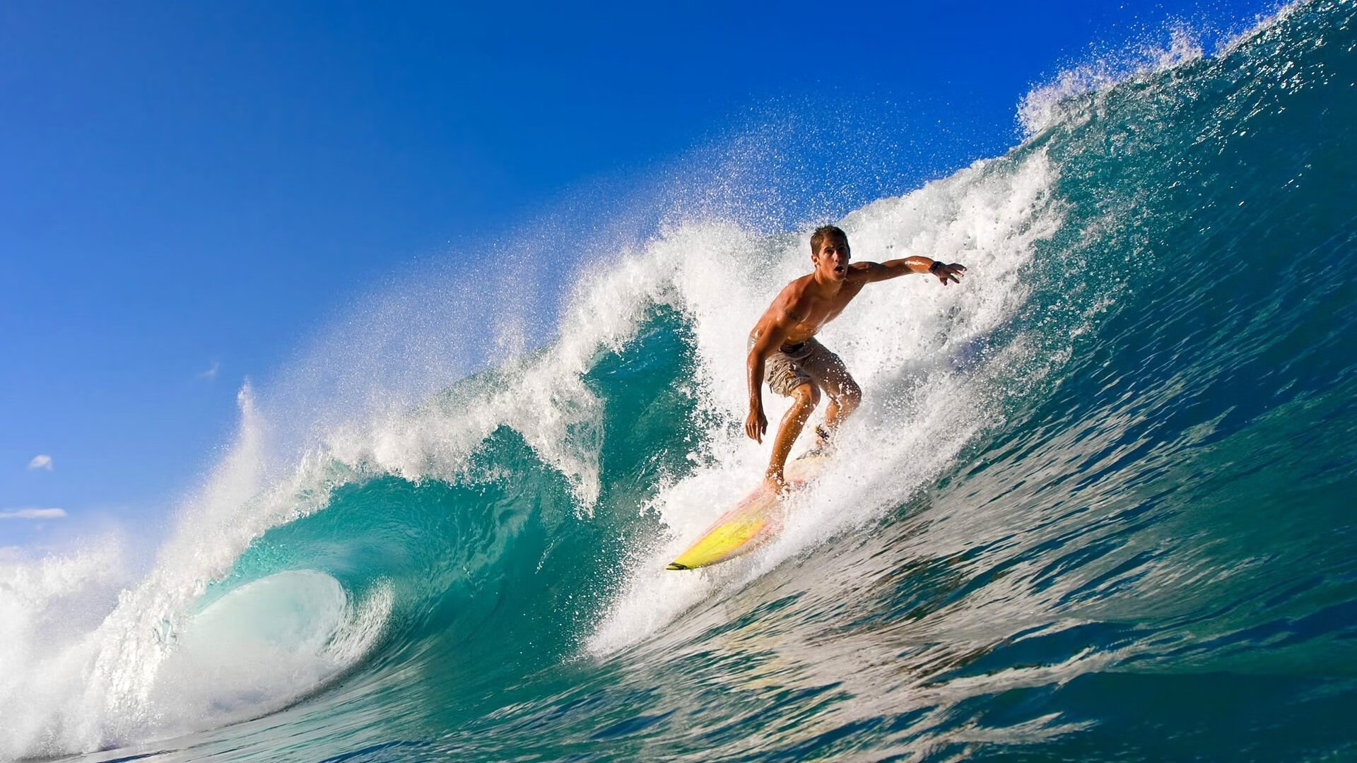 伊丽莎白·德克斯泳姿优雅成赛场焦点，演员_伊丽莎白·德比齐