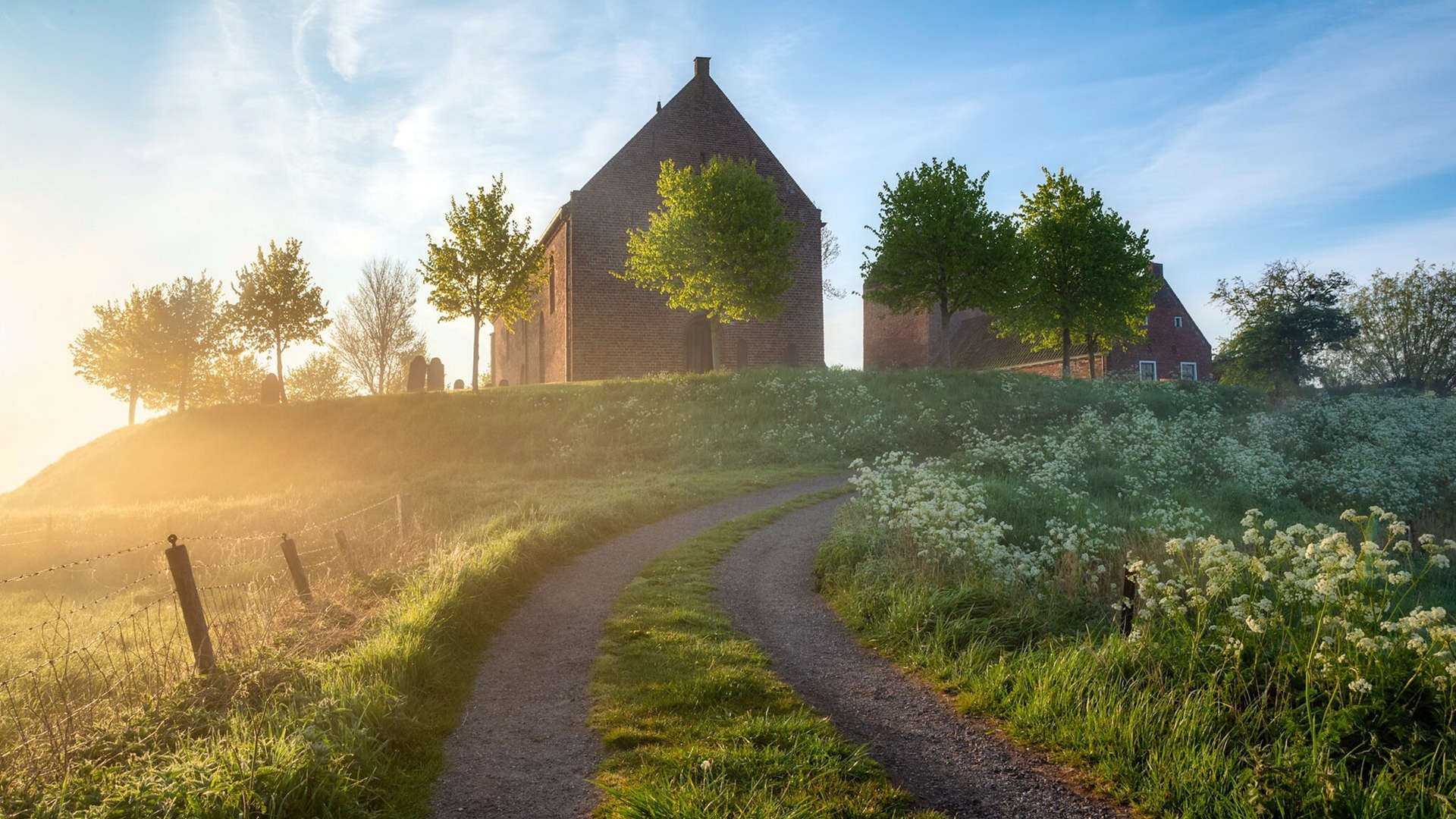 开云首页登录-_骑士年轻核心爆发，球队未来无限光明_，骑士队员名单及照片